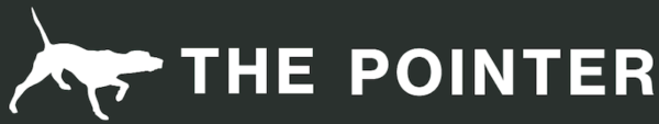 the-pointer.webp the-pointer.webp